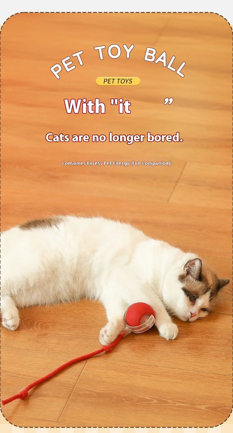 Automatic Cat Interactive Rolling Ball
