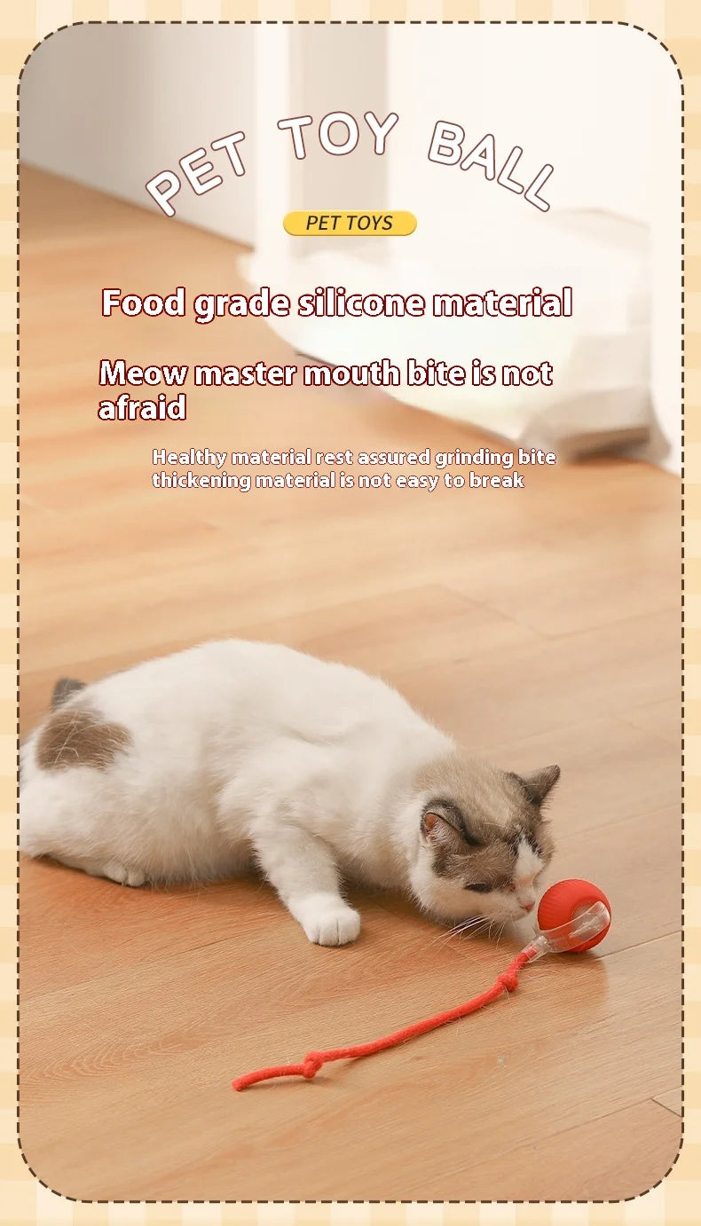 Automatic Cat Interactive Rolling Ball