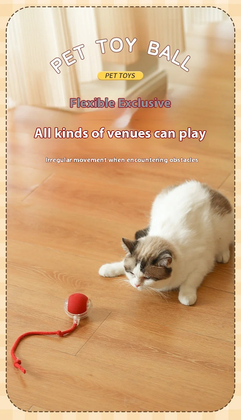 Automatic Cat Interactive Rolling Ball