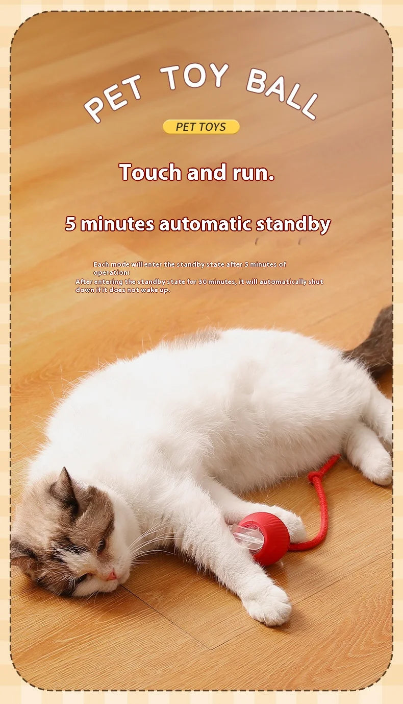 Automatic Cat Interactive Rolling Ball