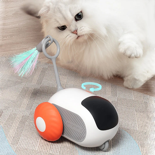 Intelligent Sports Car for Cats