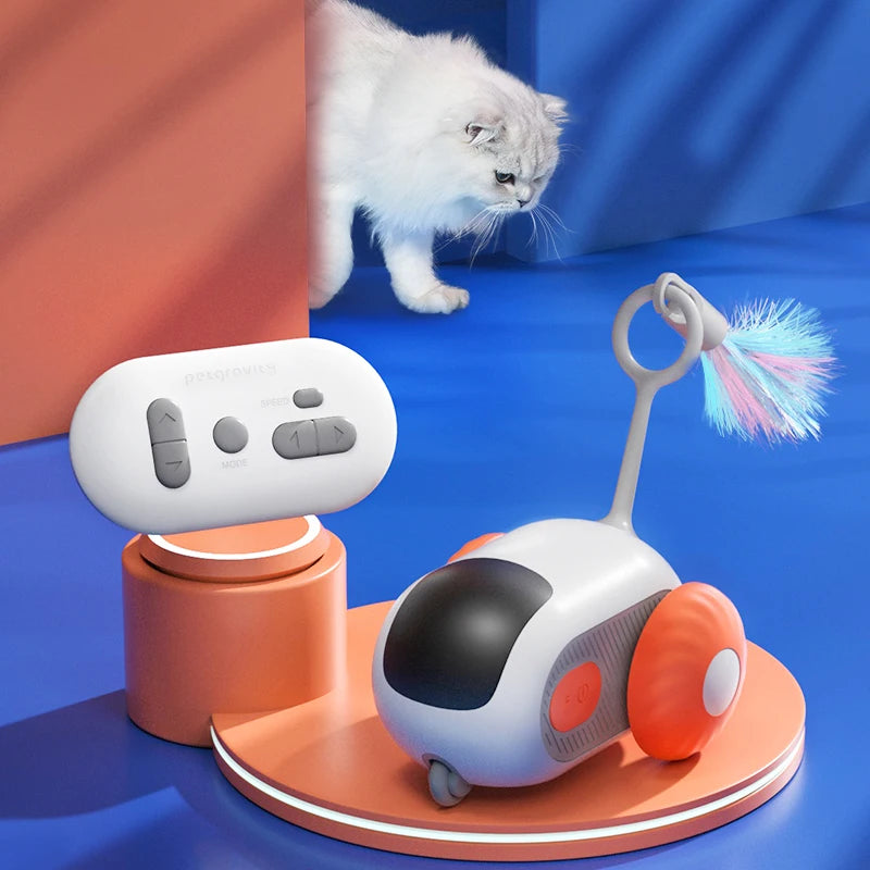 Intelligent Sports Car for Cats