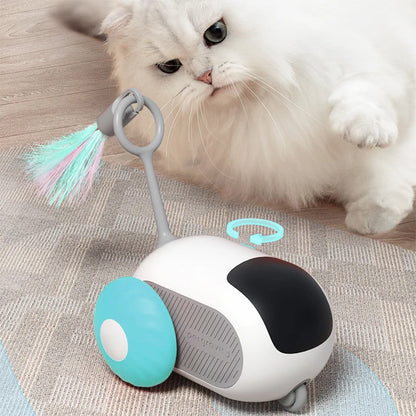 Intelligent Sports Car for Cats