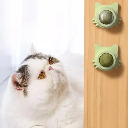 Snack Catnip Balls